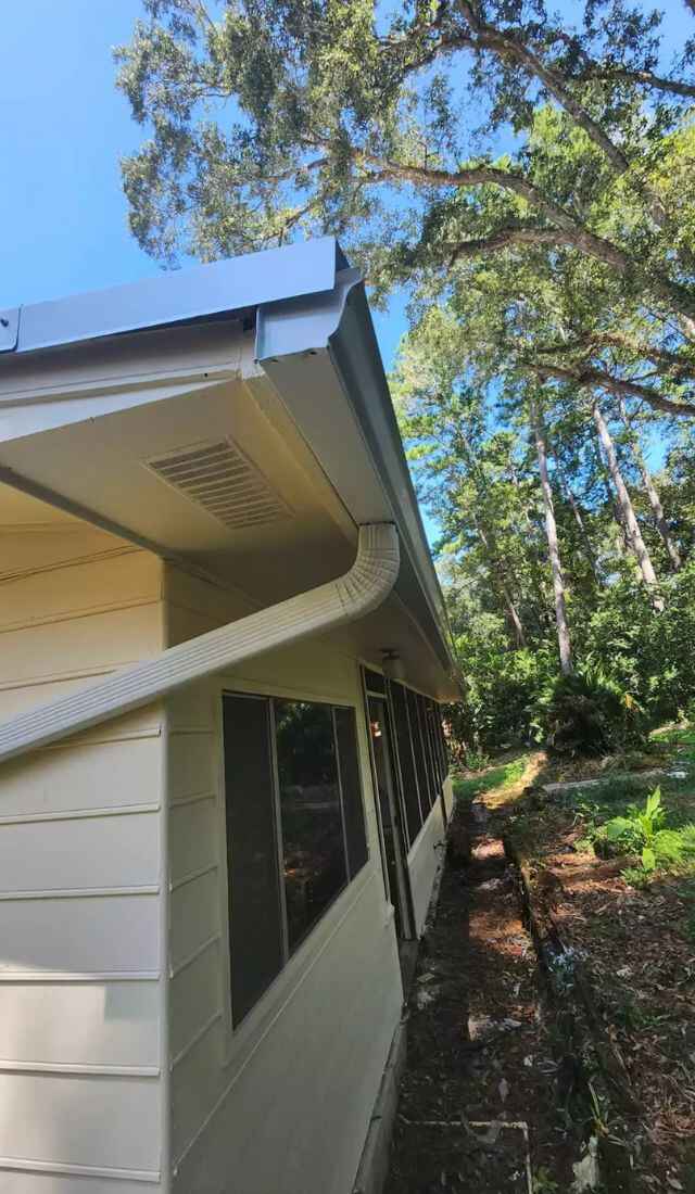 Professional Gutter Services